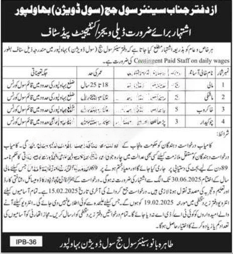 Official Civil Court Bahawalpur Jobs 2025 application form available for download with fields for candidate information and required documents.
