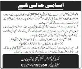 Nowshera Fixed Communication Signal Company Jobs 2025 Cook Vacancy Advertisement