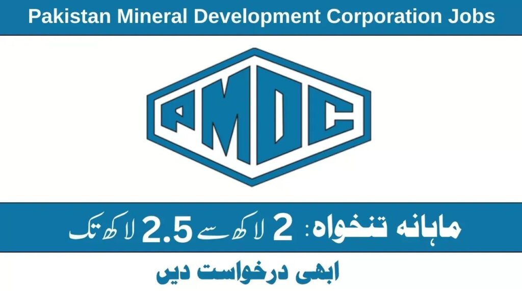 Deputy General Manager Procurement Role at PMDC