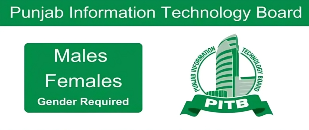 Punjab Information Technology Board Job Openings 2025