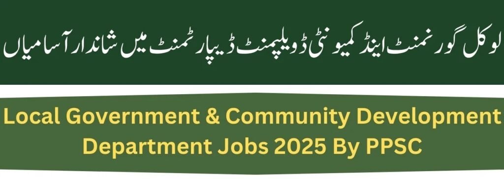 Local Government and Community Development Job