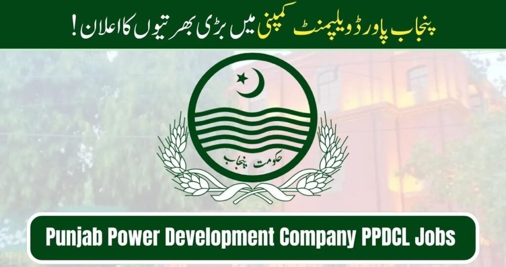 Online Application Process for Punjab Power Jobs 2025