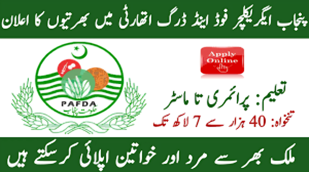 Government job seekers applying online for PAFDA Careers