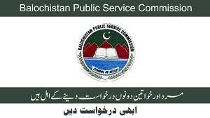 Screenshot of BPSC online application portal for 2025 recruitment.