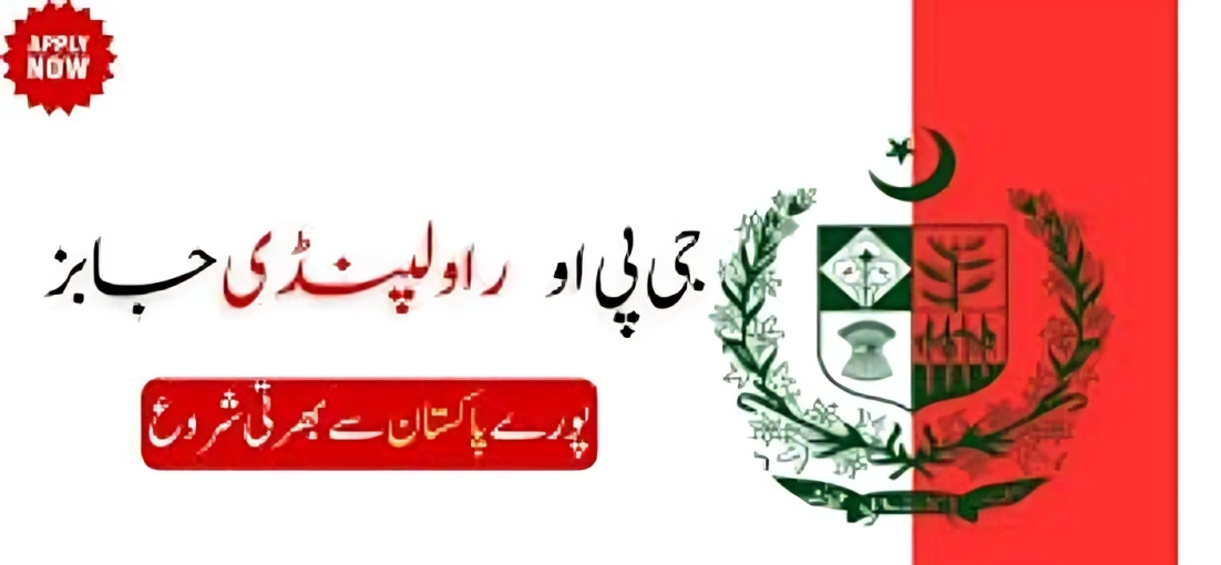 Public Sector Finance Officer working in an office