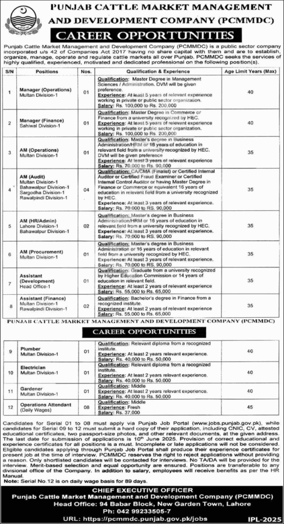 PCMMDC Jobs 2025 Advertisement showing vacant positions across Punjab divisions