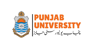 Driver applying for Punjab University non-teaching staff job