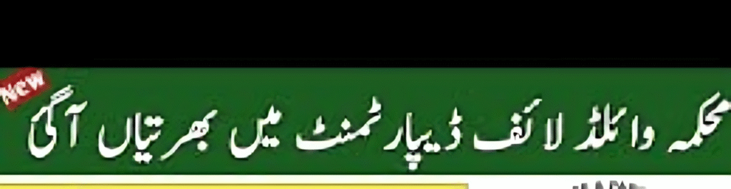 Wildlife Department KPK Jobs 2025