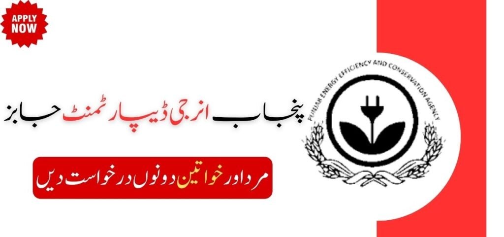 Punjab Thermal Power Jobs