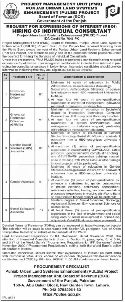 Board of Revenue Punjab PULSE Project Jobs 2025 Advertisement