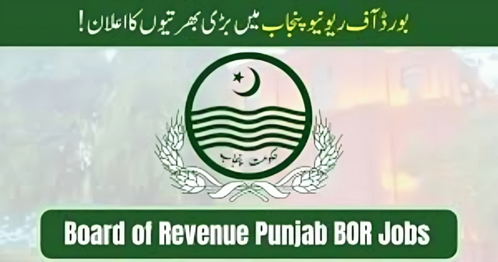 Board of Revenue Punjab PULSE Project Jobs 2025