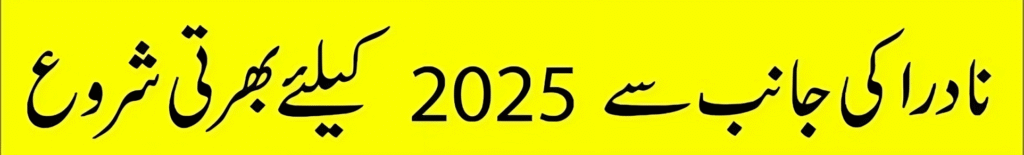 Latest NADRA Jobs 2025 β Apply Online Today