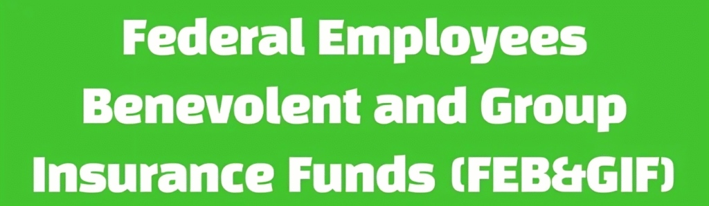 Federal Employees Benevolent and Group Insurance Funds Jobs
