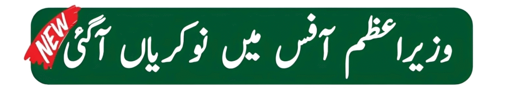 Prime Minister Office Project Director DEEP Job 