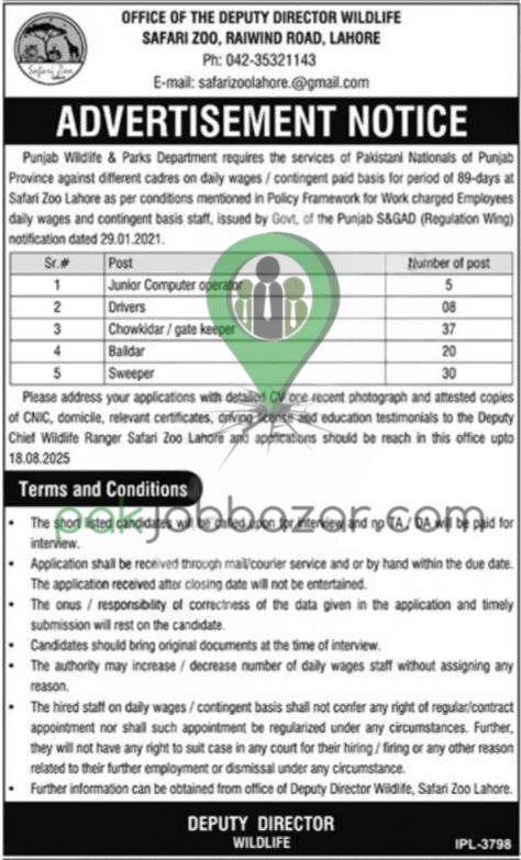 Safari Zoo Lahore Jobs 2025 Daily Wages Advertisement
