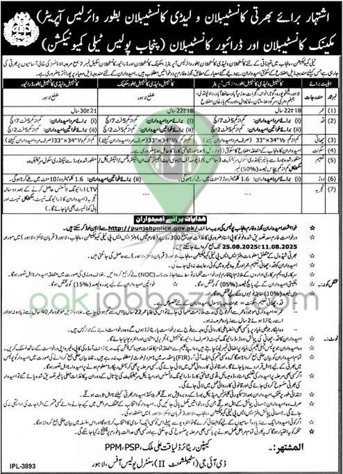 Bank of Khyber Jobs 2025 Advertisement - Apply Online for MIS, Audit, and Branch Manager Roles


