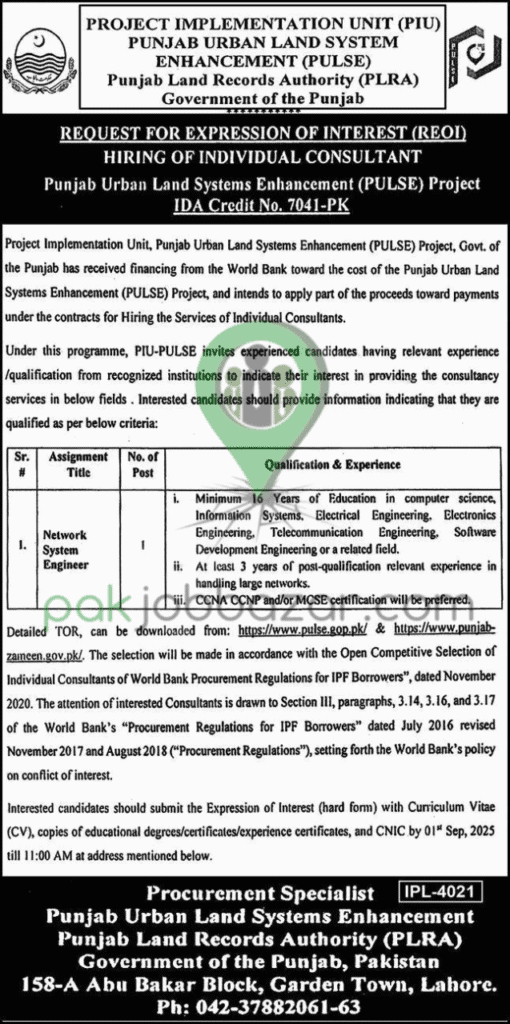 Punjab PULSE Project Network System Engineer Jobs 2025 Advertisement