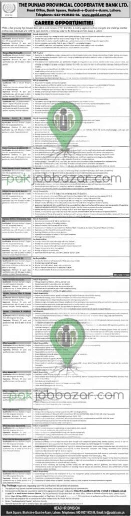 Punjab Provincial Cooperative Bank Jobs 2025 Advertisement
