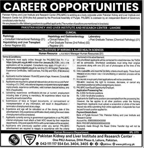 PKLI Jobs advertisement